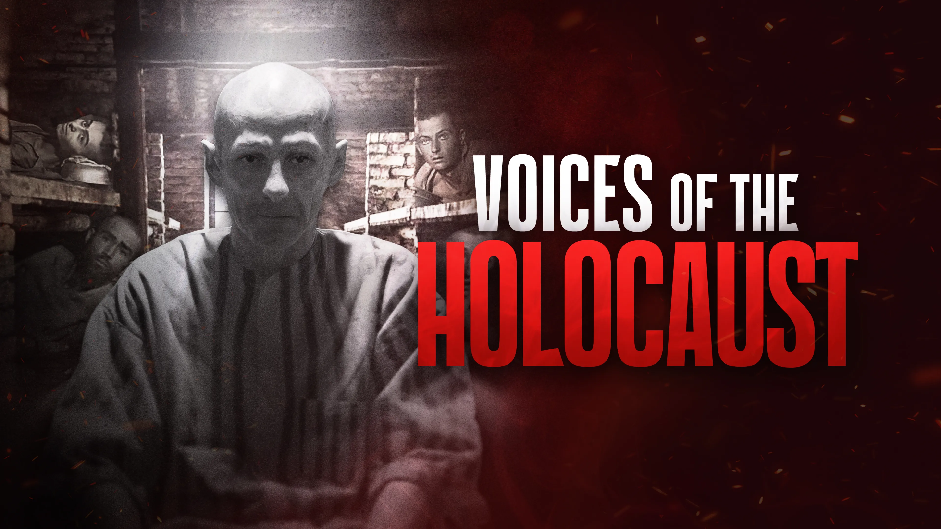 The Voices of the Holocaust poster